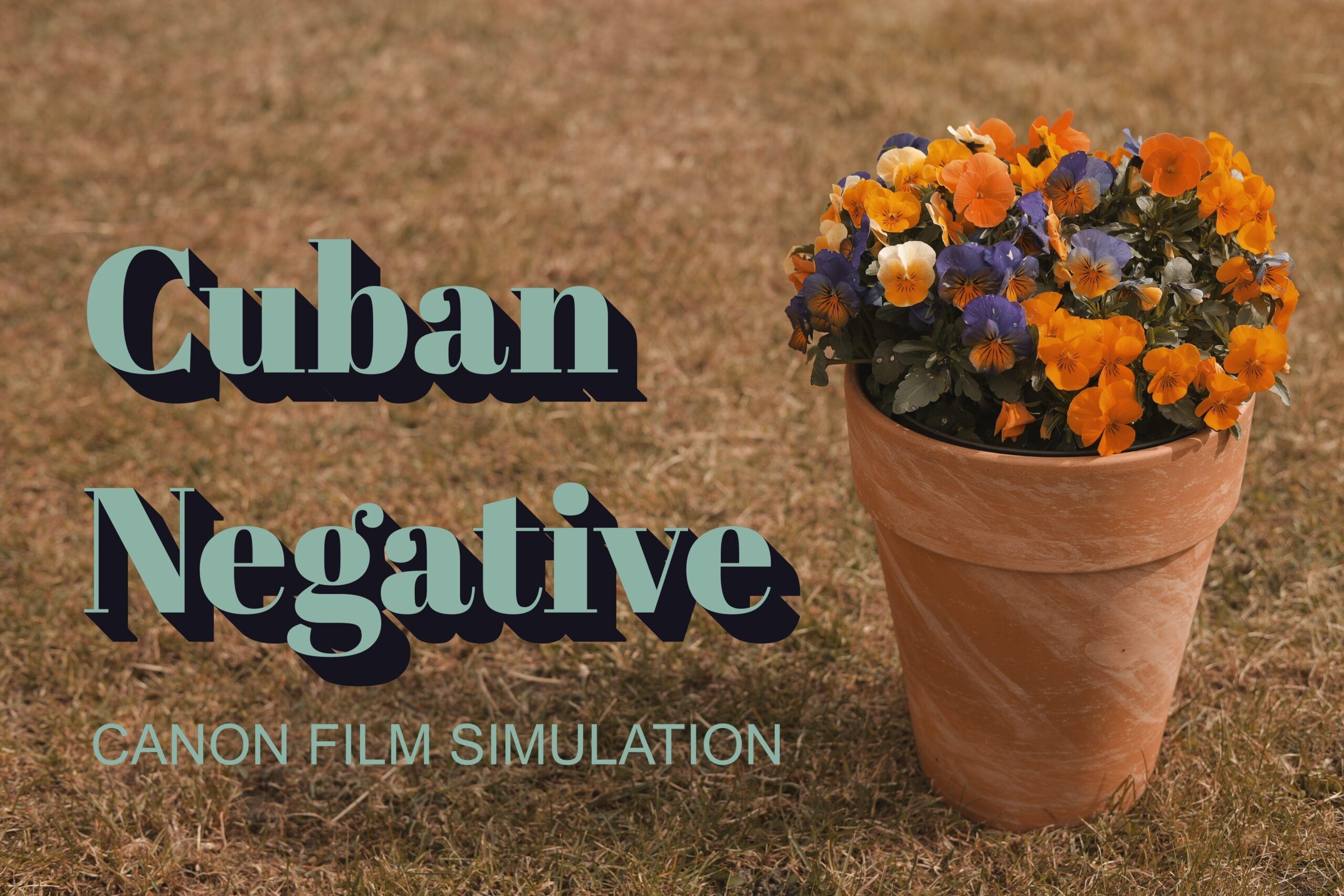 Cuban Negative Film Simulation for Canon